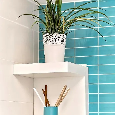 Hortensia ,los Cristianos * Los Cristianos (Tenerife)